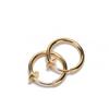 Fake Piercing Rings