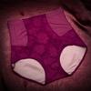 Body Slimming Waist Panties