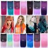 Multi-Colored Hair Extensions