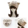 Cat Ears Winter Wool Beanie