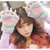 Paws Fingerless Winter Gloves