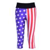 America Leggings