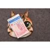 Funny Cat Small Shoulder Bag/Coin Purse