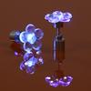 LED Earrings