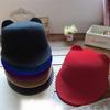 Cat Ears Winter Hat