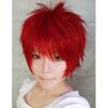 Short Hair Cosplay Wig