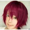 Short Hair Cosplay Wig