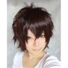 Short Hair Cosplay Wig