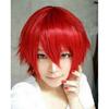 Short Hair Cosplay Wig