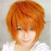 Short Hair Cosplay Wig