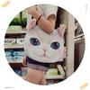 Funny Cat Face Shoulder Bag