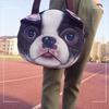 Funny Cat Face Shoulder Bag