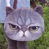 Funny Cat Face Shoulder Bag