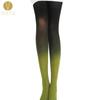 Ombre Tights
