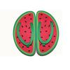 Watermelon Slipplers